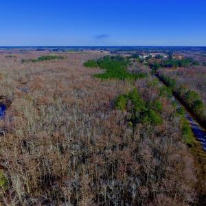 Photo of UNDER CONTRACT!  43.7 Acres of Hunting Land For Sale in Gates County NC!