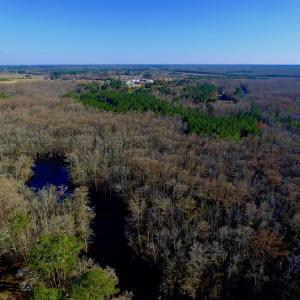 Photo of UNDER CONTRACT!  43.7 Acres of Hunting Land For Sale in Gates County NC!