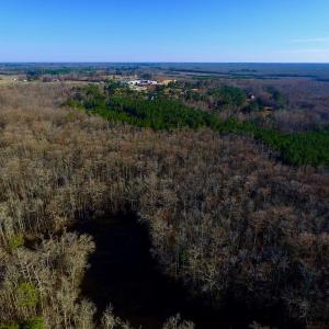 Photo of UNDER CONTRACT!  43.7 Acres of Hunting Land For Sale in Gates County NC!