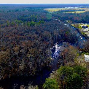Photo of UNDER CONTRACT!  43.7 Acres of Hunting Land For Sale in Gates County NC!