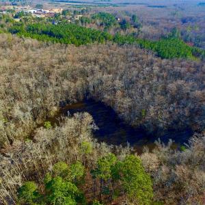 Photo of UNDER CONTRACT!  43.7 Acres of Hunting Land For Sale in Gates County NC!