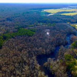 Photo of UNDER CONTRACT!  43.7 Acres of Hunting Land For Sale in Gates County NC!