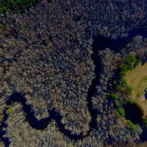 Photo of UNDER CONTRACT!  43.7 Acres of Hunting Land For Sale in Gates County NC!