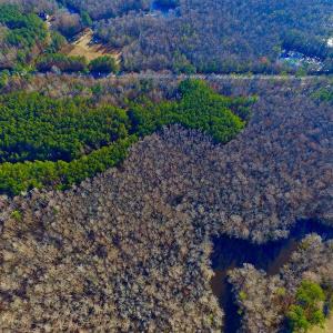 Photo of UNDER CONTRACT!  43.7 Acres of Hunting Land For Sale in Gates County NC!