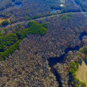Photo of UNDER CONTRACT!  43.7 Acres of Hunting Land For Sale in Gates County NC!