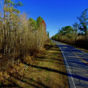 Photo of UNDER CONTRACT!  43.7 Acres of Hunting Land For Sale in Gates County NC!