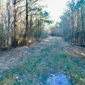 Photo of UNDER CONTRACT!  43.7 Acres of Hunting Land For Sale in Gates County NC!