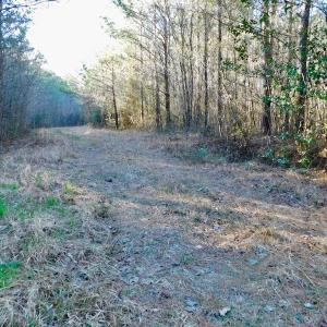 Photo of UNDER CONTRACT!  43.7 Acres of Hunting Land For Sale in Gates County NC!