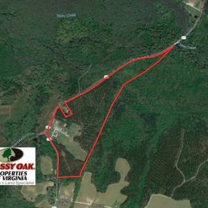Photo of UNDER CONTRACT!  62 Acres of Residential Timber Land For Sale in Greensville County VA!