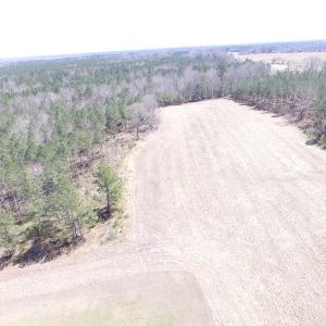 Photo of UNDER CONTRACT!  62 Acres of Residential Timber Land For Sale in Greensville County VA!