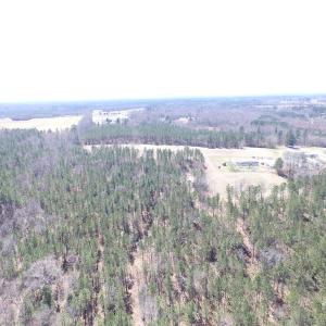 Photo of UNDER CONTRACT!  62 Acres of Residential Timber Land For Sale in Greensville County VA!