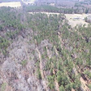 Photo of UNDER CONTRACT!  62 Acres of Residential Timber Land For Sale in Greensville County VA!