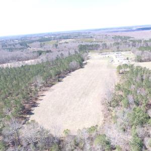 Photo of UNDER CONTRACT!  62 Acres of Residential Timber Land For Sale in Greensville County VA!