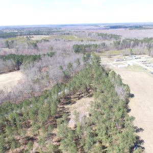 Photo of UNDER CONTRACT!  62 Acres of Residential Timber Land For Sale in Greensville County VA!