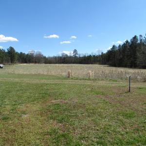 Photo of UNDER CONTRACT!  62 Acres of Residential Timber Land For Sale in Greensville County VA!