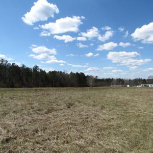 Photo of UNDER CONTRACT!  62 Acres of Residential Timber Land For Sale in Greensville County VA!