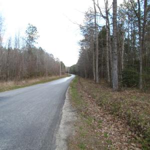 Photo of UNDER CONTRACT!  62 Acres of Residential Timber Land For Sale in Greensville County VA!