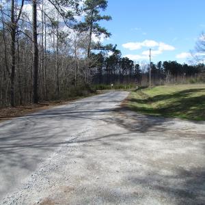 Photo of UNDER CONTRACT!  62 Acres of Residential Timber Land For Sale in Greensville County VA!