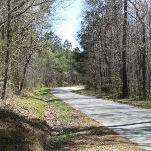 Photo of UNDER CONTRACT!  62 Acres of Residential Timber Land For Sale in Greensville County VA!