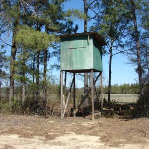 Photo of UNDER CONTRACT!  36 Acres of Farm and Timber Land For Sale in Robeson County NC!