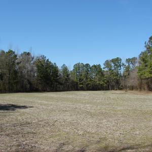 Photo of UNDER CONTRACT!  36 Acres of Farm and Timber Land For Sale in Robeson County NC!