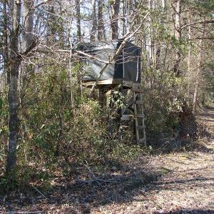 Photo of UNDER CONTRACT!  36 Acres of Farm and Timber Land For Sale in Robeson County NC!