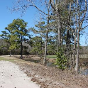 Photo of UNDER CONTRACT!  36 Acres of Farm and Timber Land For Sale in Robeson County NC!