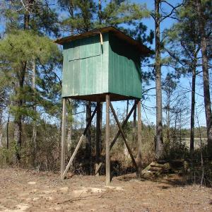 Photo of UNDER CONTRACT!  36 Acres of Farm and Timber Land For Sale in Robeson County NC!
