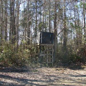 Photo of UNDER CONTRACT!  36 Acres of Farm and Timber Land For Sale in Robeson County NC!