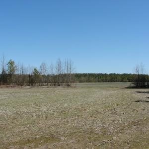 Photo of UNDER CONTRACT!  36 Acres of Farm and Timber Land For Sale in Robeson County NC!