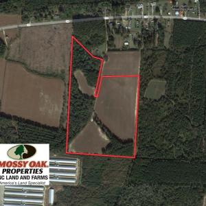 Photo of UNDER CONTRACT!  36 Acres of Farm and Timber Land For Sale in Robeson County NC!