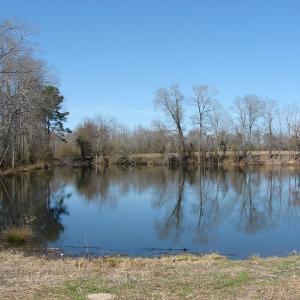 Photo of UNDER CONTRACT!  50 Acres of Farm and Timber Land For Sale in Robeson County NC!