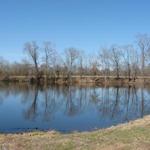 Photo of UNDER CONTRACT!  50 Acres of Farm and Timber Land For Sale in Robeson County NC!