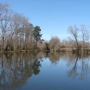 Photo of UNDER CONTRACT!  50 Acres of Farm and Timber Land For Sale in Robeson County NC!