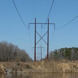 Photo of UNDER CONTRACT!  50 Acres of Farm and Timber Land For Sale in Robeson County NC!