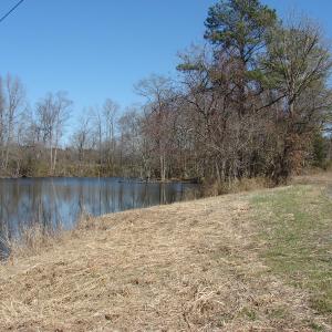 Photo of UNDER CONTRACT!  50 Acres of Farm and Timber Land For Sale in Robeson County NC!