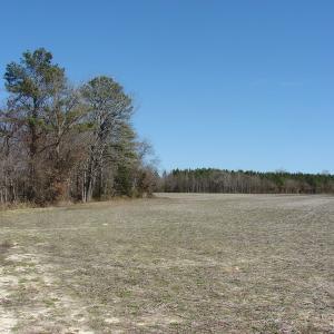 Photo of UNDER CONTRACT!  50 Acres of Farm and Timber Land For Sale in Robeson County NC!