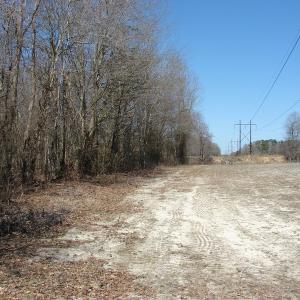Photo of UNDER CONTRACT!  50 Acres of Farm and Timber Land For Sale in Robeson County NC!
