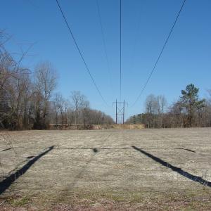 Photo of UNDER CONTRACT!  50 Acres of Farm and Timber Land For Sale in Robeson County NC!