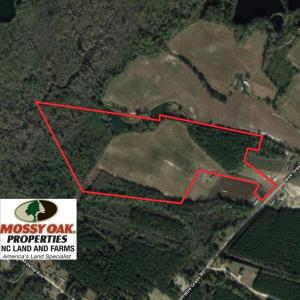Photo of UNDER CONTRACT!  50 Acres of Farm and Timber Land For Sale in Robeson County NC!