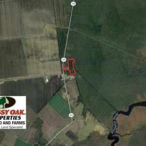 Photo of UNDER CONTRACT!  14.24 Acres of Creek Front Residential Land For Sale in Tyrrell County NC!