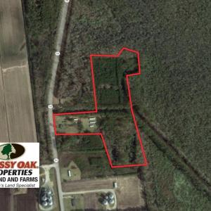 Photo of UNDER CONTRACT!  14.24 Acres of Creek Front Residential Land For Sale in Tyrrell County NC!