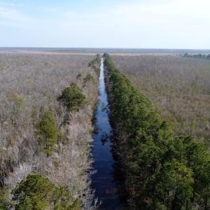 Photo of UNDER CONTRACT!  14.24 Acres of Creek Front Residential Land For Sale in Tyrrell County NC!