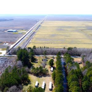 Photo of UNDER CONTRACT!  14.24 Acres of Creek Front Residential Land For Sale in Tyrrell County NC!