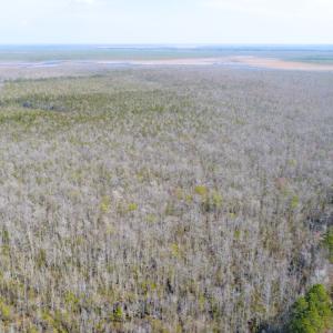 Photo of UNDER CONTRACT!  14.24 Acres of Creek Front Residential Land For Sale in Tyrrell County NC!