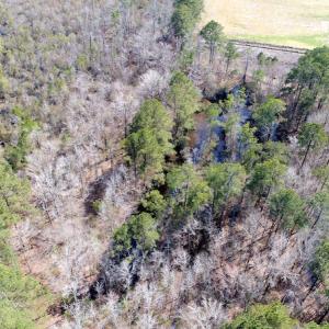 Photo of UNDER CONTRACT!  14.24 Acres of Creek Front Residential Land For Sale in Tyrrell County NC!