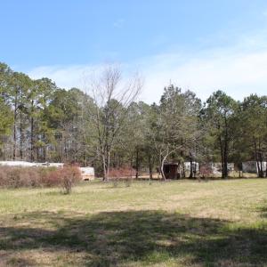 Photo of UNDER CONTRACT!  14.24 Acres of Creek Front Residential Land For Sale in Tyrrell County NC!