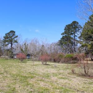 Photo of UNDER CONTRACT!  14.24 Acres of Creek Front Residential Land For Sale in Tyrrell County NC!
