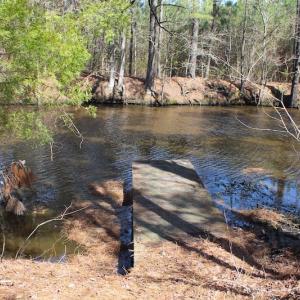 Photo of UNDER CONTRACT!  14.24 Acres of Creek Front Residential Land For Sale in Tyrrell County NC!