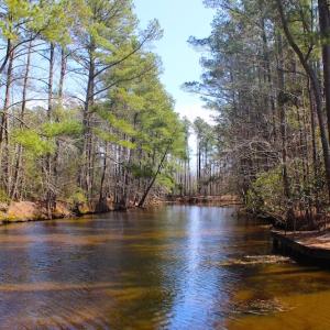 Photo of UNDER CONTRACT!  14.24 Acres of Creek Front Residential Land For Sale in Tyrrell County NC!